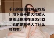 千万别随便搜每日吃瓜！地下圈子的大佬被人拿着证据堵在酒店门口，真的是林子大了什么鸟都有。